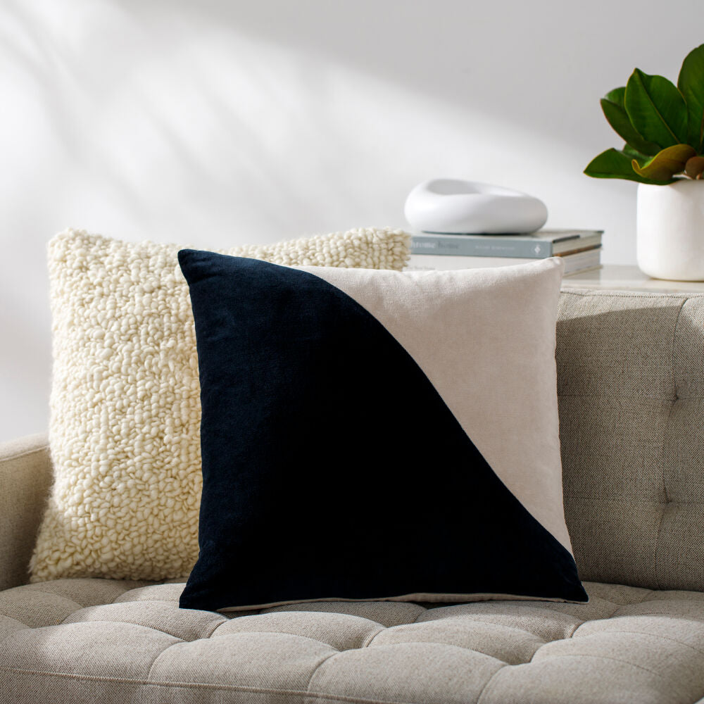 Black and white pillow on a beige sofa with a plant and books in the background