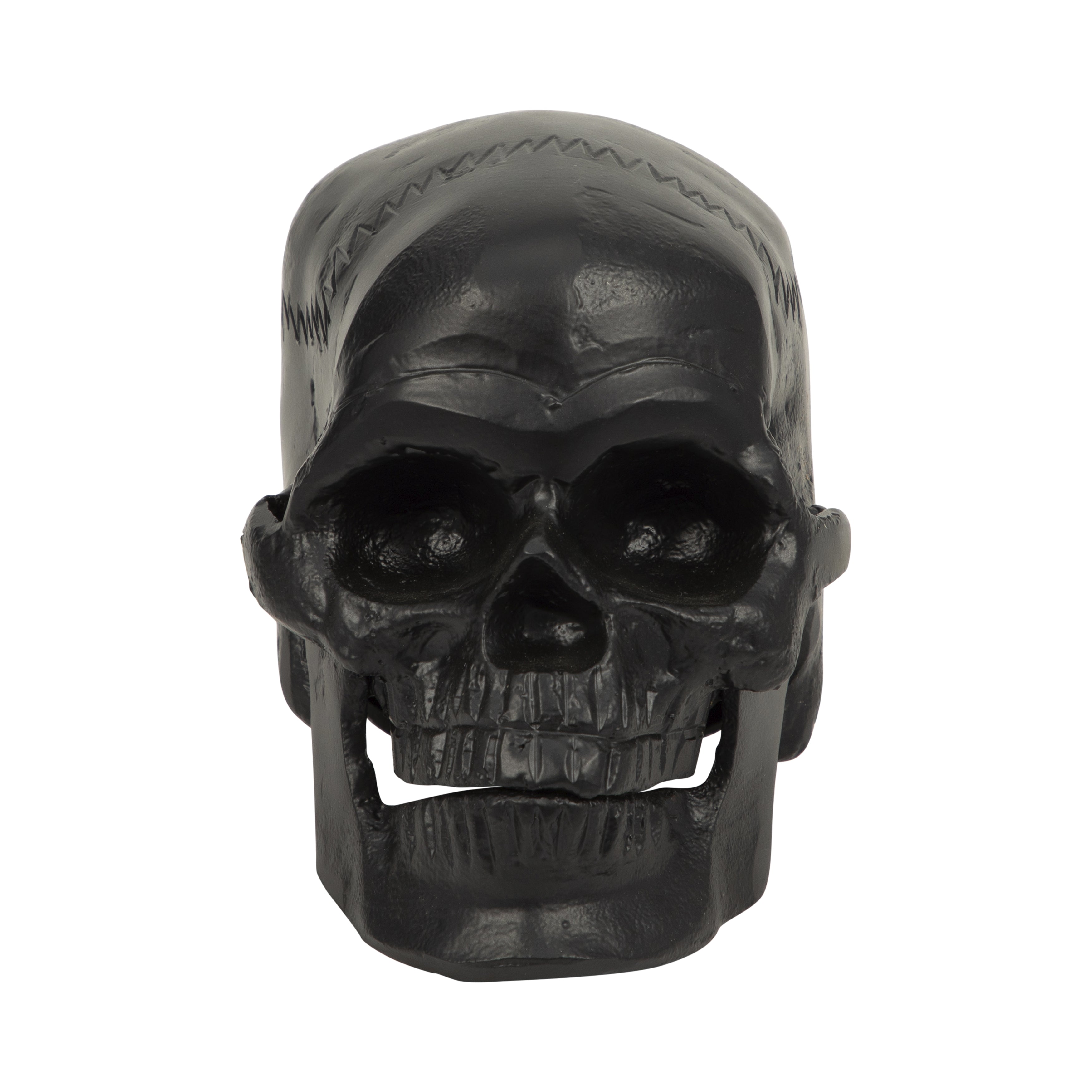 Seloria Skull