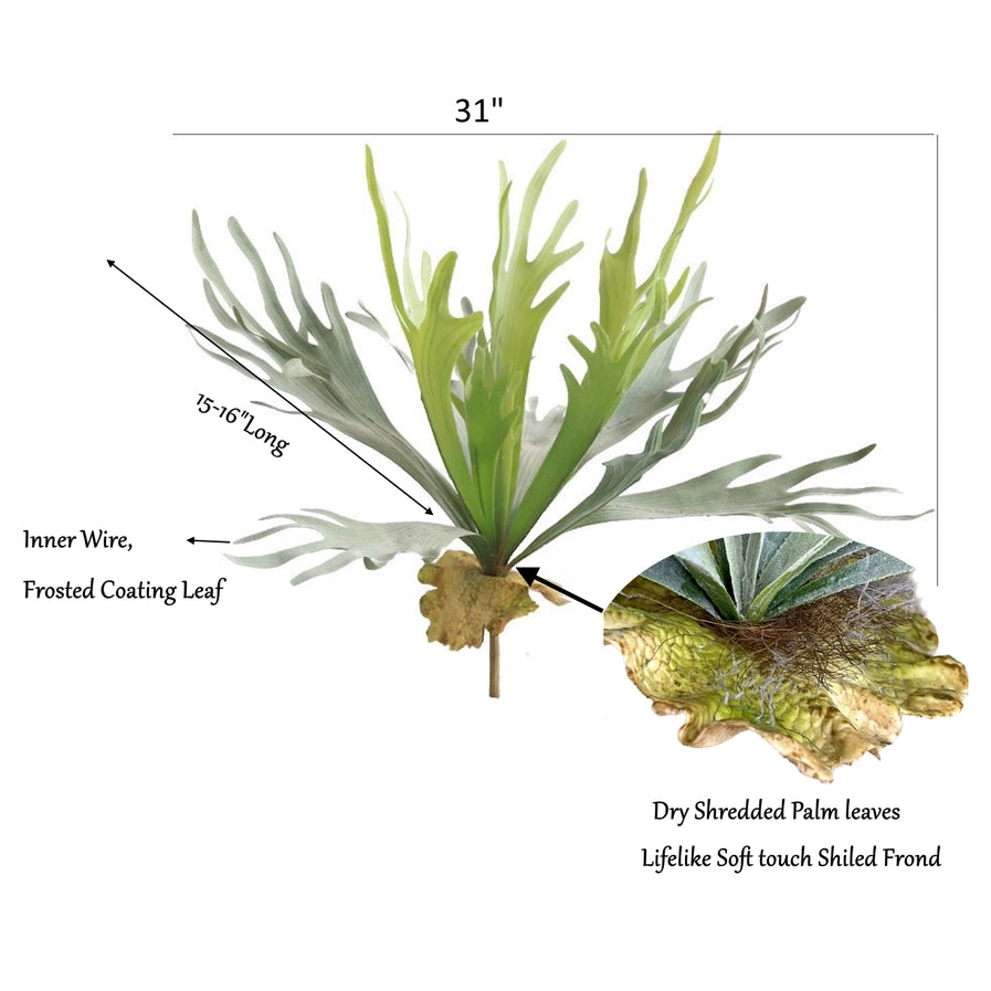 Premium Quality Extra Large Lifelike Staghorn Fern