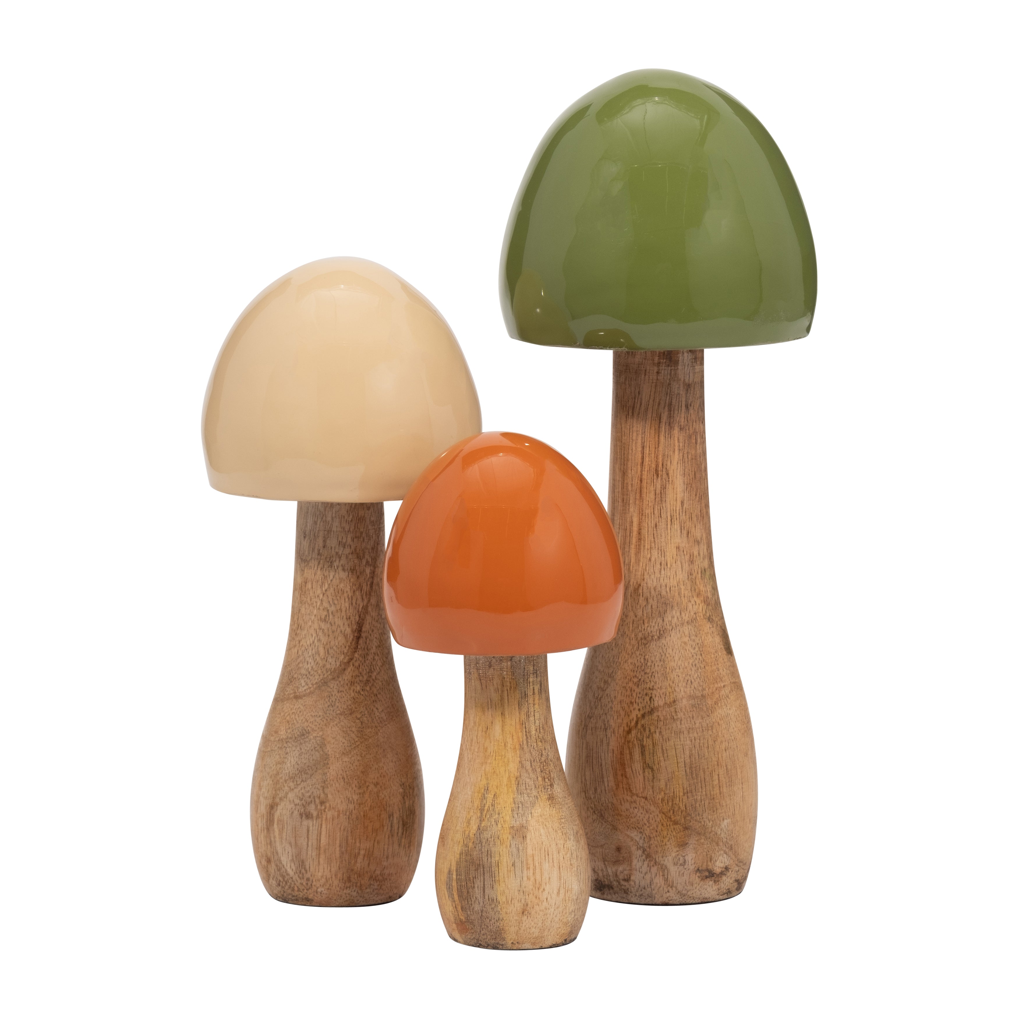 Cassius Mushroom