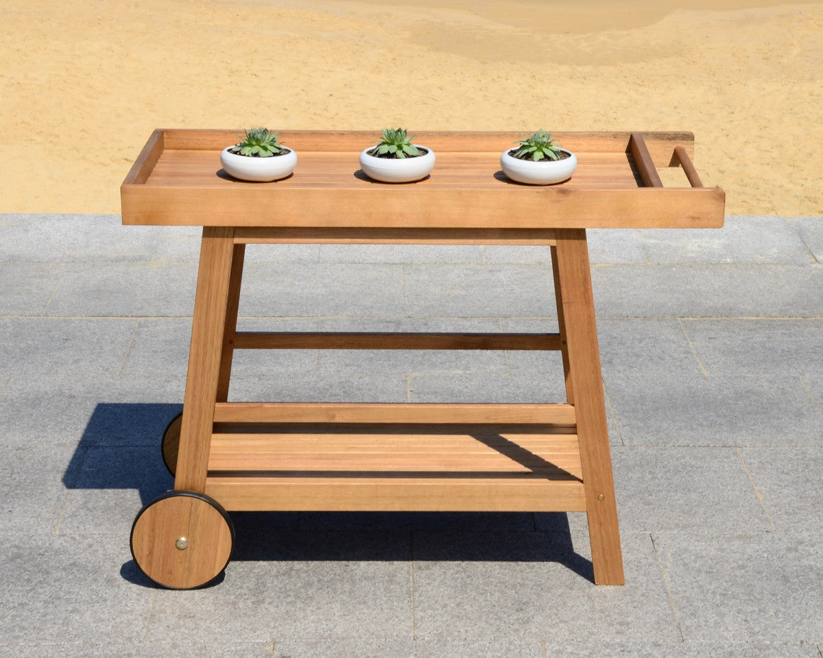Cooper Indoor/Outdoor Bar Cart