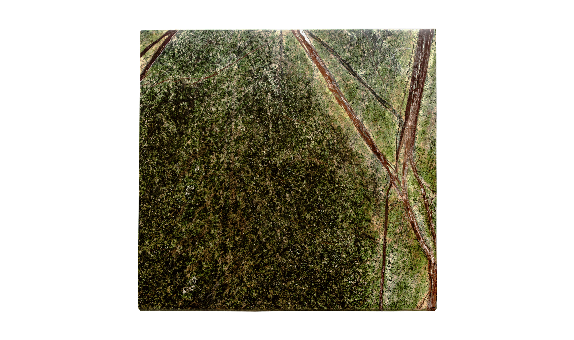 #color_Rainforest Green